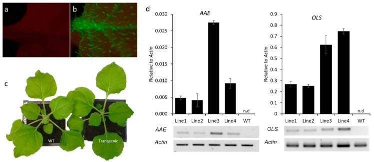 PMC9786632 – metabolites-12-01181-f002