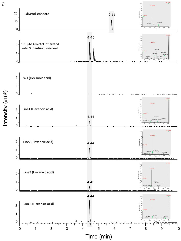 PMC9786632 – metabolites-12-01181-f003