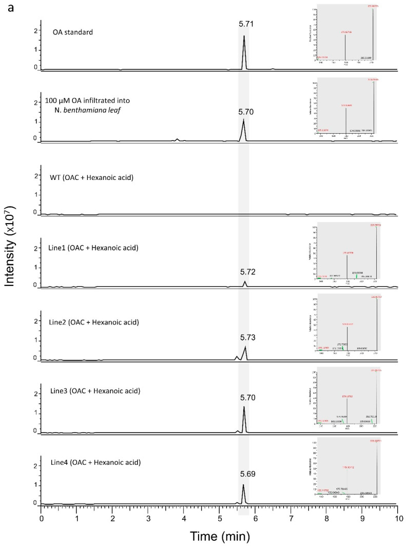 PMC9786632 – metabolites-12-01181-f004
