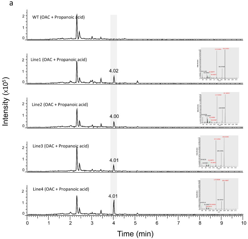 PMC9786632 – metabolites-12-01181-f005