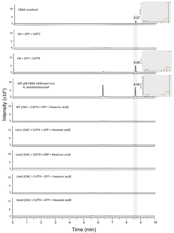 PMC9786632 – metabolites-12-01181-f006