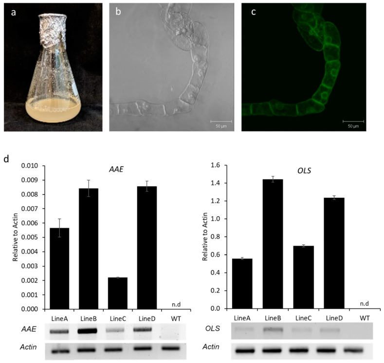 PMC9786632 – metabolites-12-01181-f007