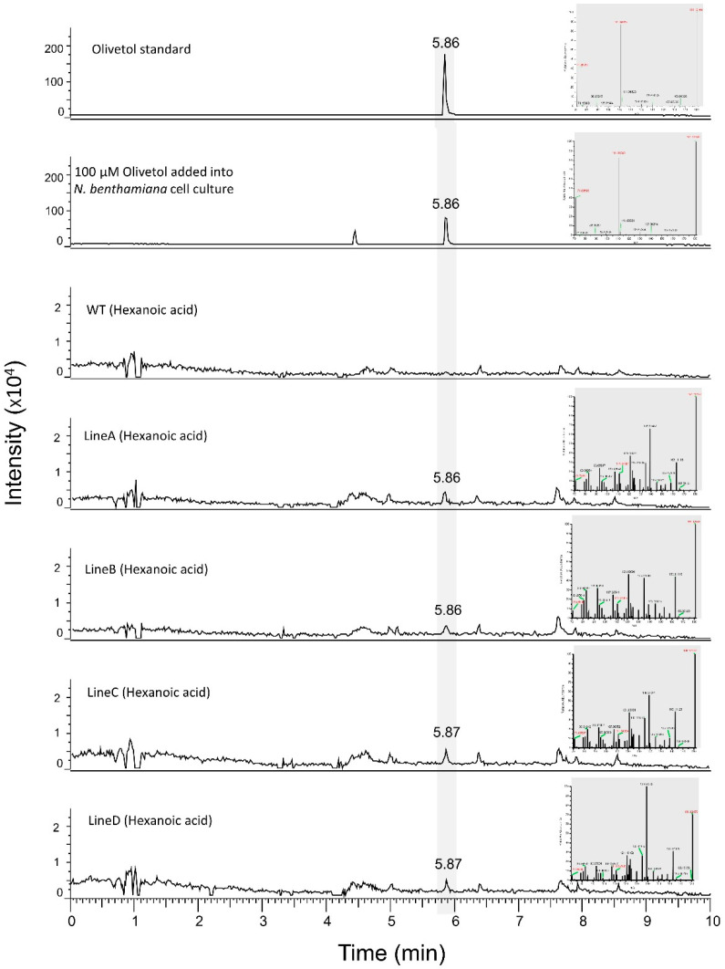 PMC9786632 – metabolites-12-01181-f008