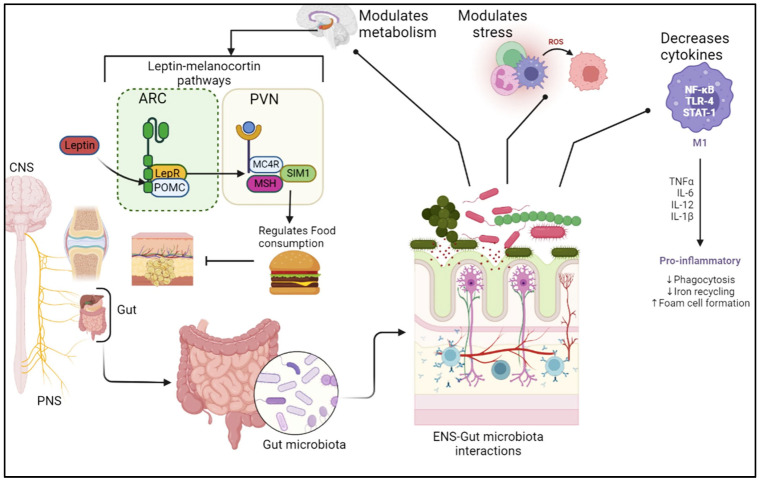 PMC9781427 – metabolites-12-01247-f002