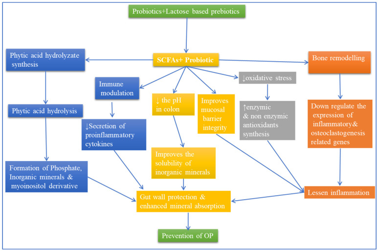 PMC9781427 – metabolites-12-01247-f003