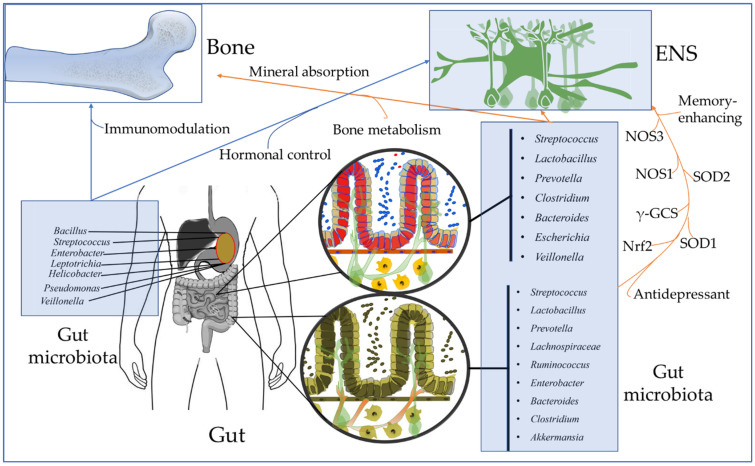 PMC9781427 – metabolites-12-01247-f004