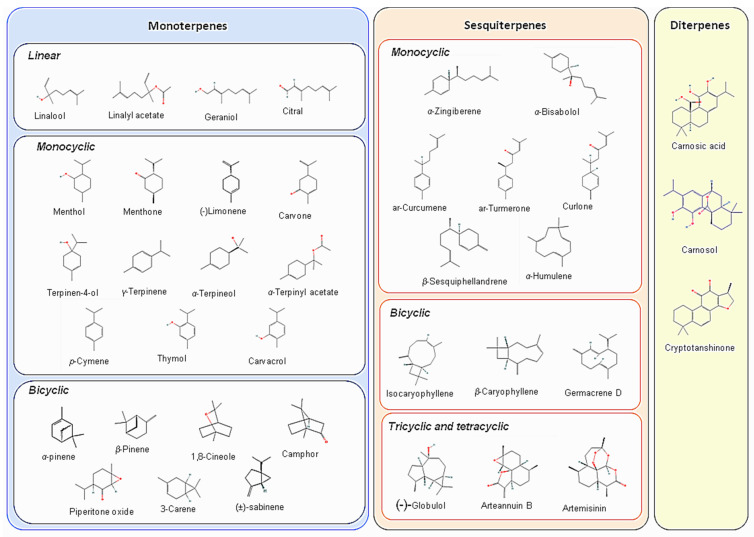 PMC9786035 – metabolites-12-01256-f001