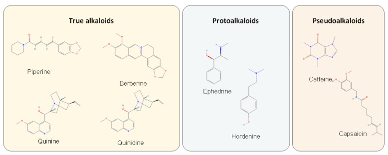 PMC9786035 – metabolites-12-01256-f002