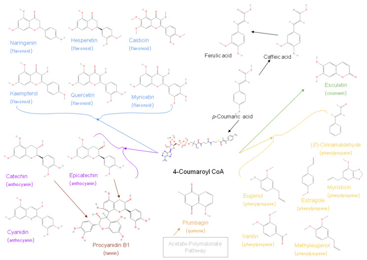 PMC9786035 – metabolites-12-01256-f003
