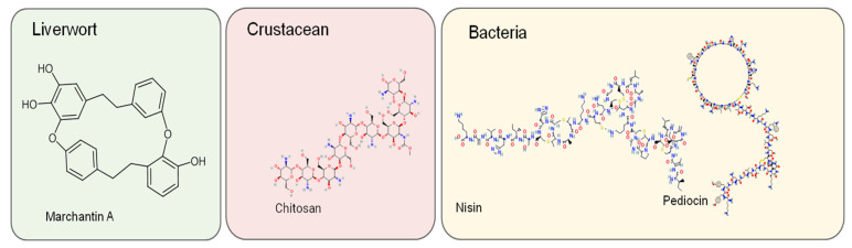 PMC9786035 – metabolites-12-01256-f004