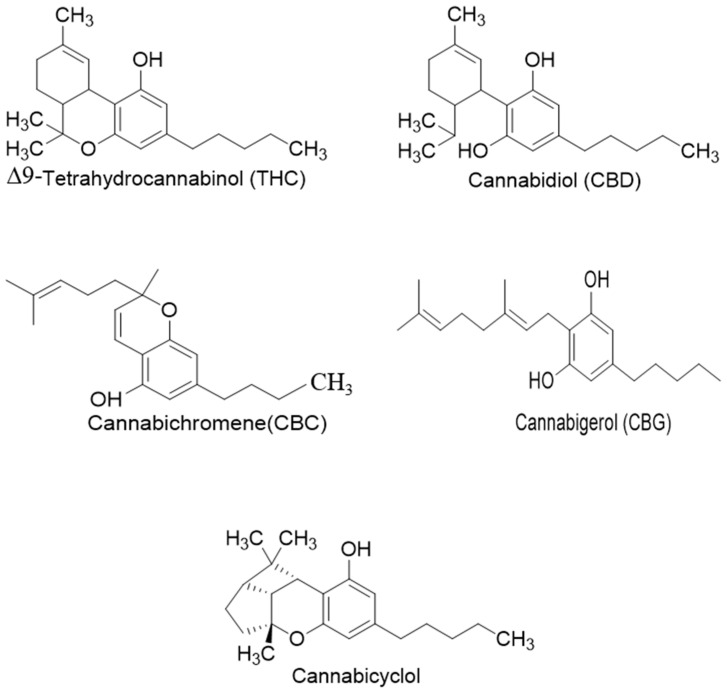 PMC10051821 – metabolites-13-00442-f001