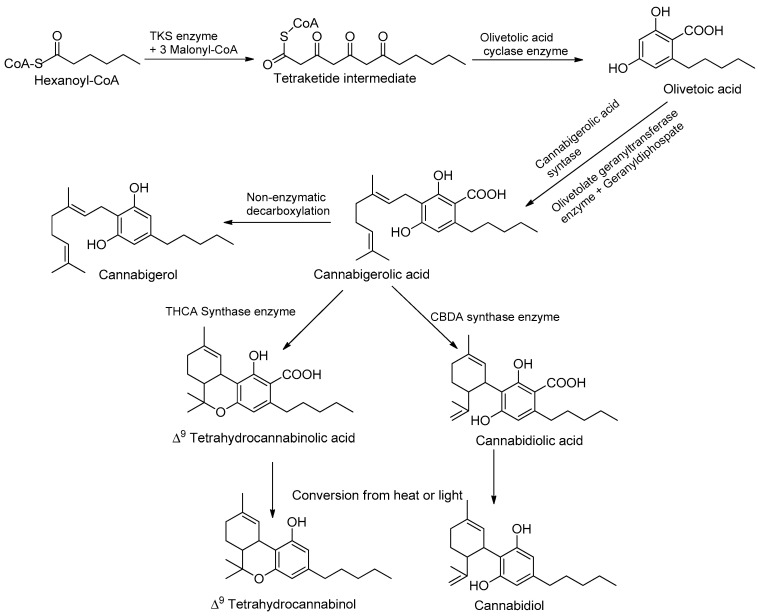 PMC10051821 – metabolites-13-00442-f002