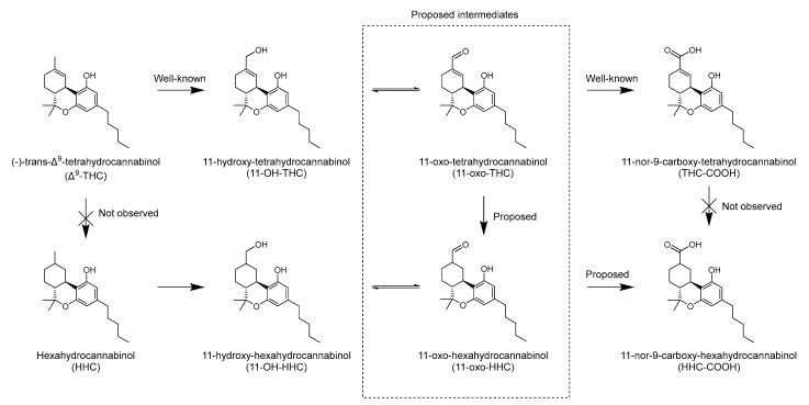 PMC10744638 – metabolites-13-01169-f005