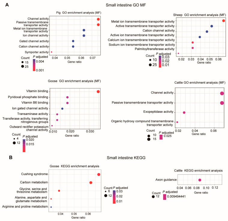 PMC11355998 – metabolites-14-00451-f006