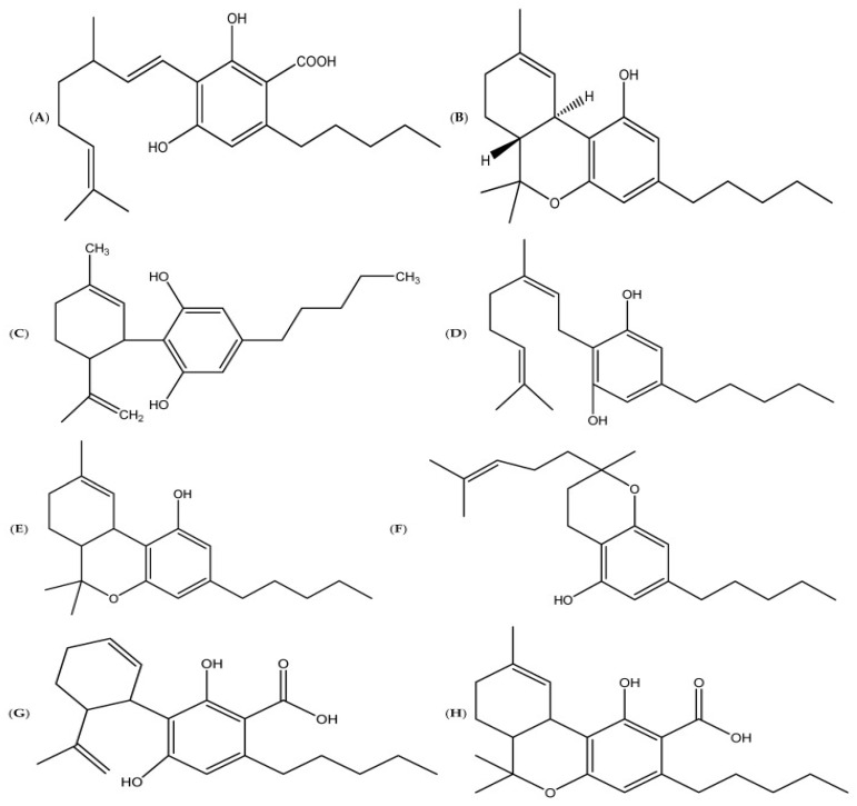 PMC11677790 – metabolites-14-00712-f005