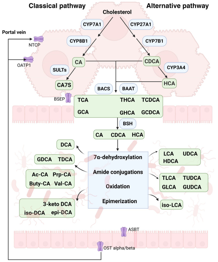 PMC12195380 – metabolites-15-00401-f001