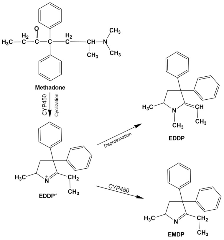 PMC12654502 – metabolites-15-00745-f002