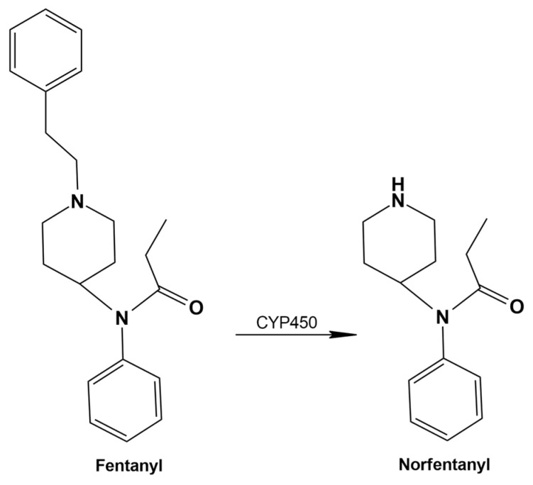 PMC12654502 – metabolites-15-00745-f003