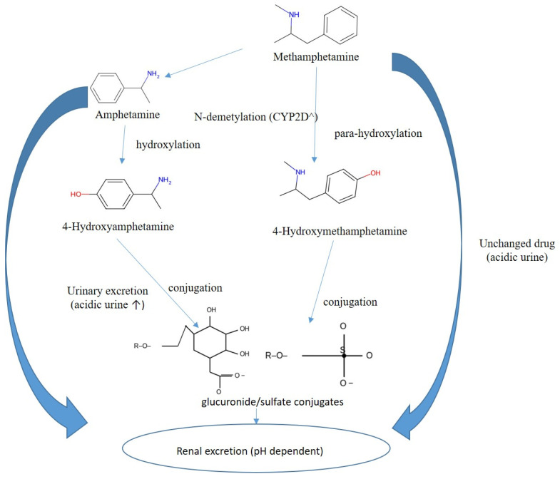 PMC12654502 – metabolites-15-00745-f005