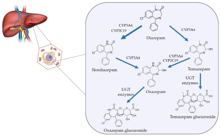 PMC12654502 – metabolites-15-00745-f006