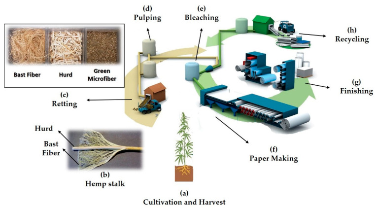 PMC7917756 – micromachines-12-00182-f001