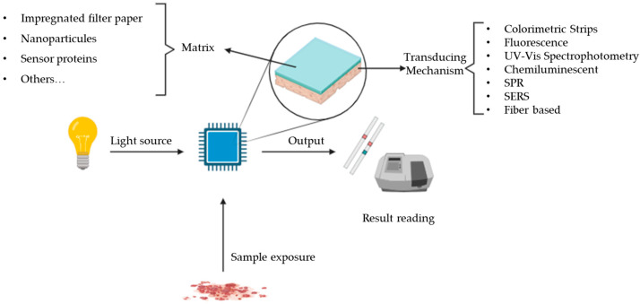 PMC10745465 – micromachines-14-02249-f002