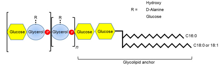 PMC7761167 – microorganisms-08-01852-f006