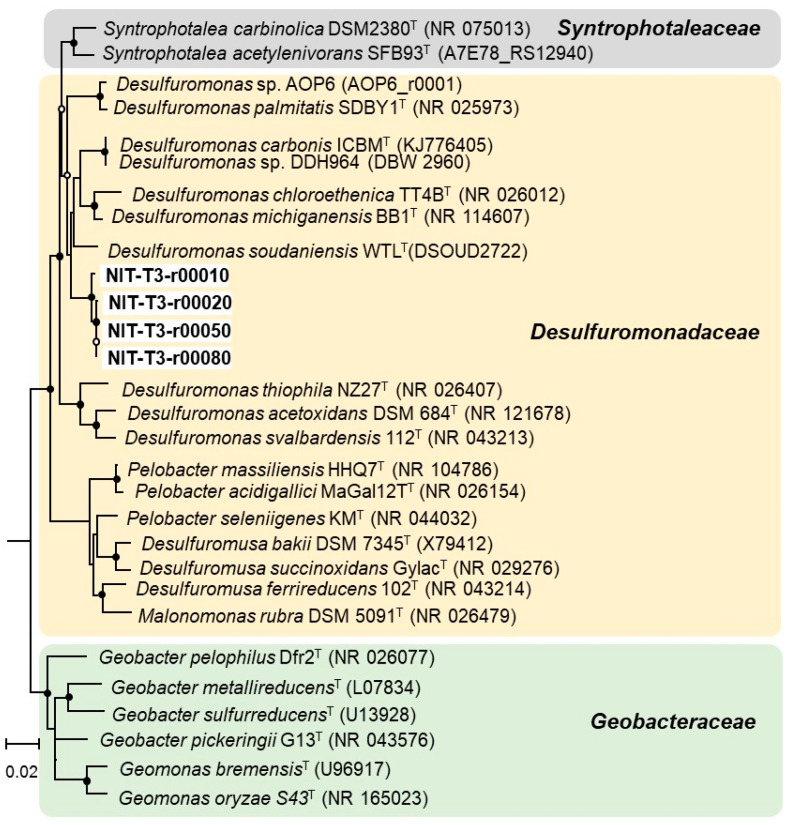 PMC8465243 – microorganisms-09-01953-f002