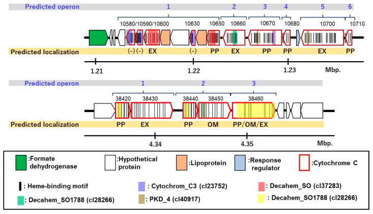 PMC8465243 – microorganisms-09-01953-f006