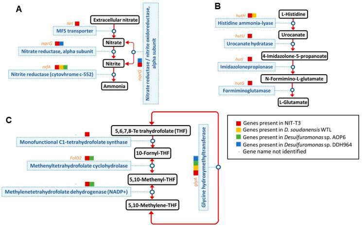 PMC8465243 – microorganisms-09-01953-f008