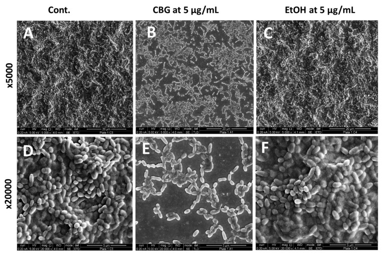 PMC8539625 – microorganisms-09-02031-f002