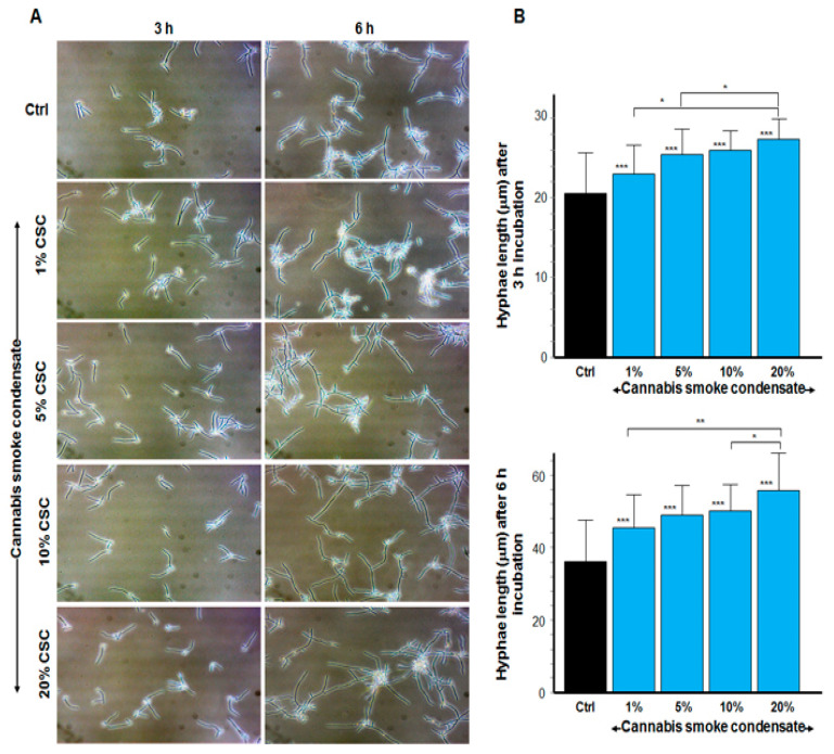 PMC8618252 – microorganisms-09-02348-f002