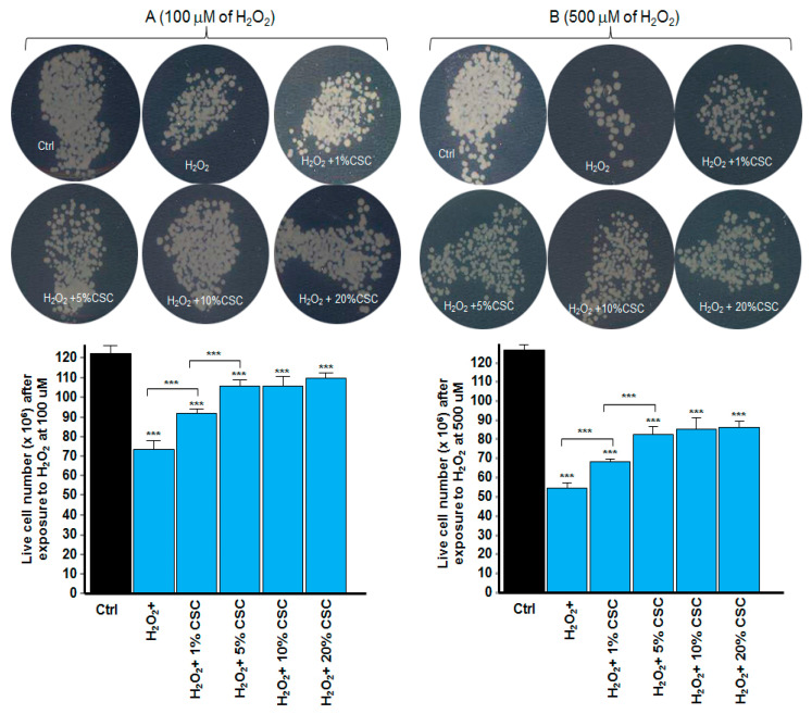 PMC8618252 – microorganisms-09-02348-f004