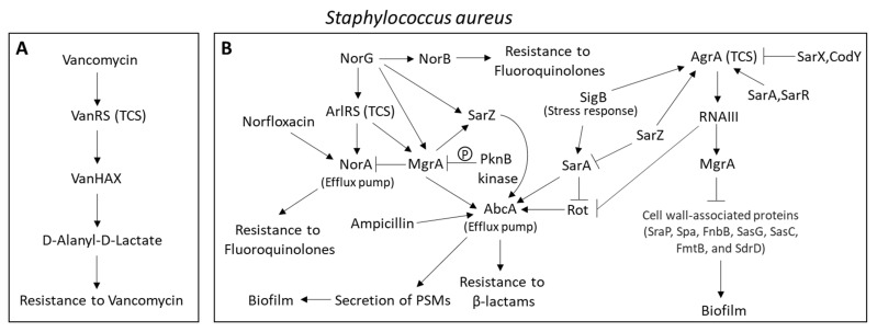 PMC9228545 – microorganisms-10-01239-f001