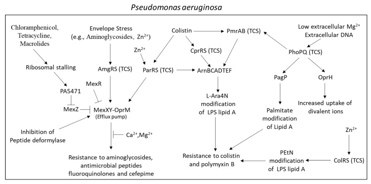 PMC9228545 – microorganisms-10-01239-f002