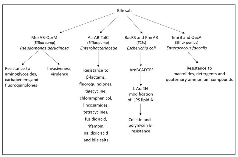 PMC9228545 – microorganisms-10-01239-f003