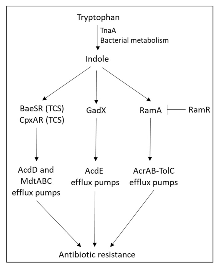 PMC9228545 – microorganisms-10-01239-f004