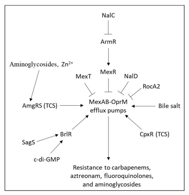 PMC9228545 – microorganisms-10-01239-f006
