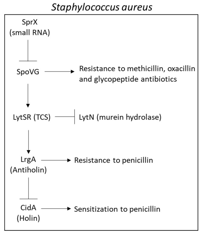 PMC9228545 – microorganisms-10-01239-f007