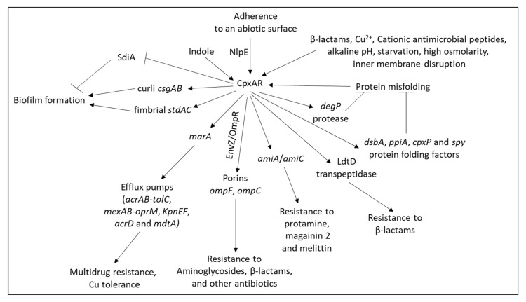 PMC9228545 – microorganisms-10-01239-f010