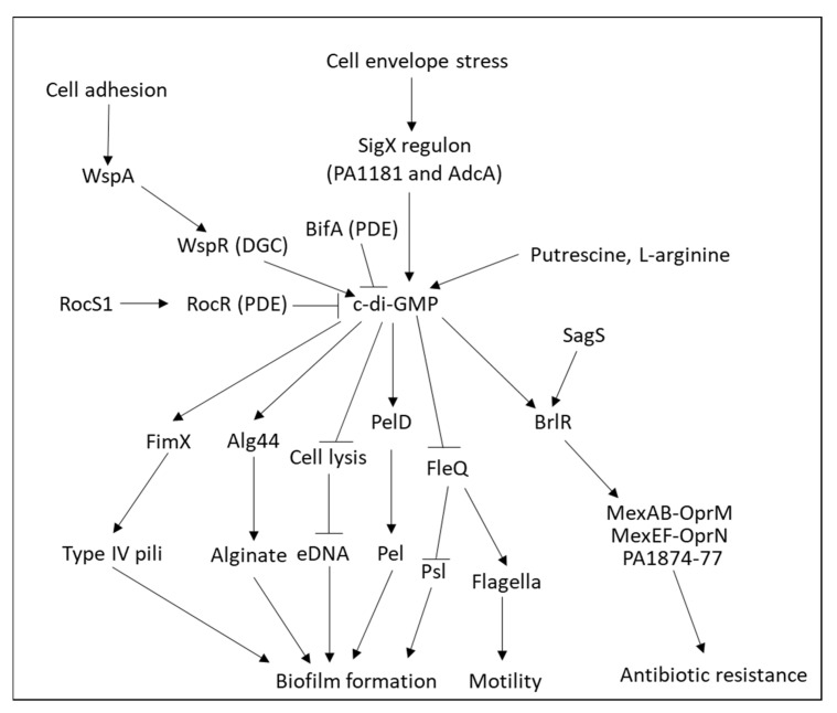 PMC9228545 – microorganisms-10-01239-f011