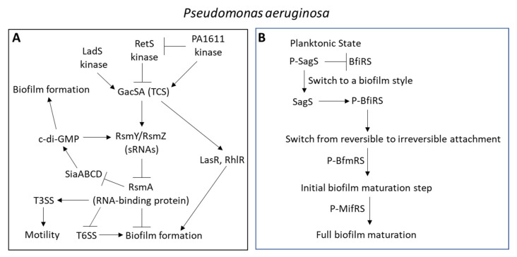 PMC9228545 – microorganisms-10-01239-f012