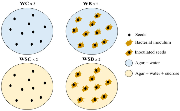 PMC9506497 – microorganisms-10-01742-f001
