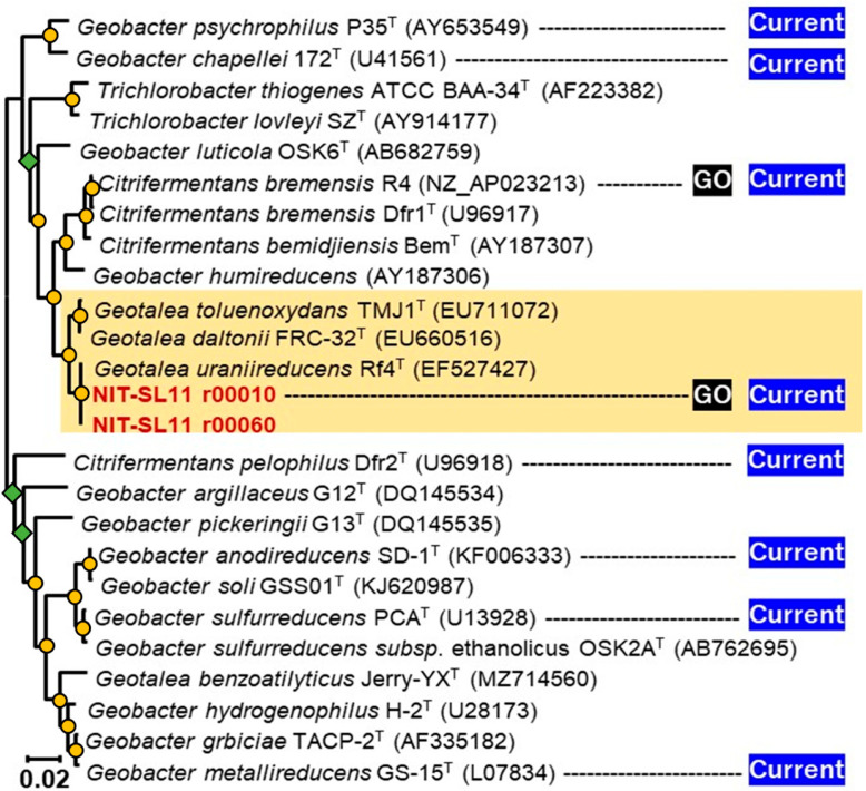 PMC9961858 – microorganisms-11-00349-f002