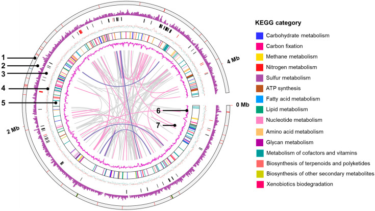PMC9961858 – microorganisms-11-00349-f003