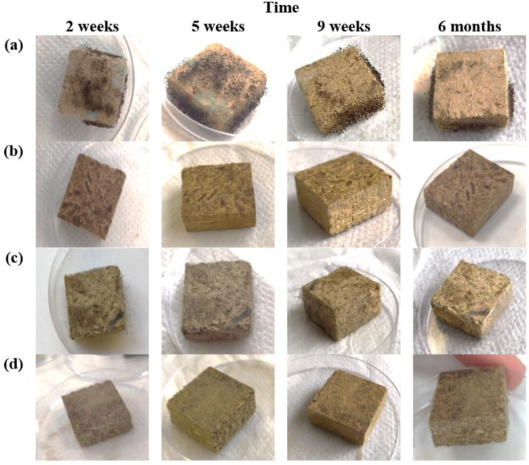 PMC9964003 – microorganisms-11-00477-f003
