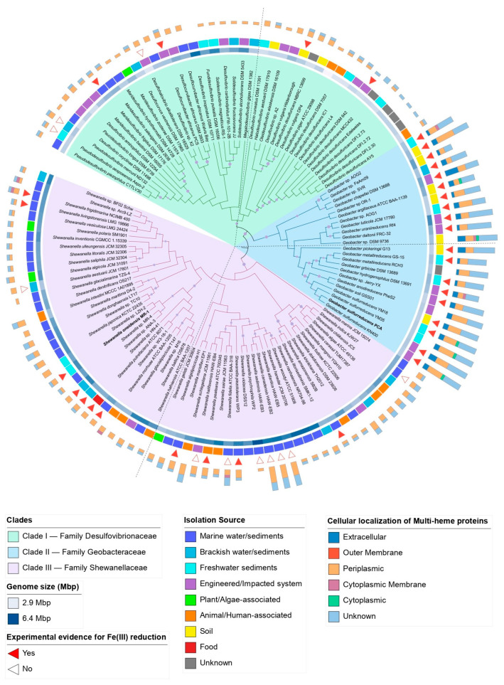 PMC11434368 – microorganisms-12-01796-f001