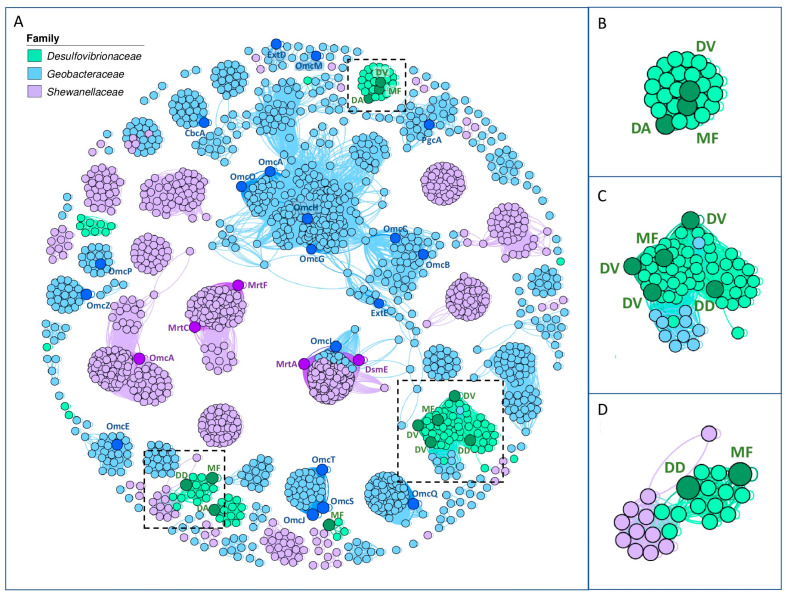 PMC11434368 – microorganisms-12-01796-f003