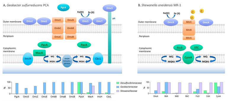 PMC11434368 – microorganisms-12-01796-f004