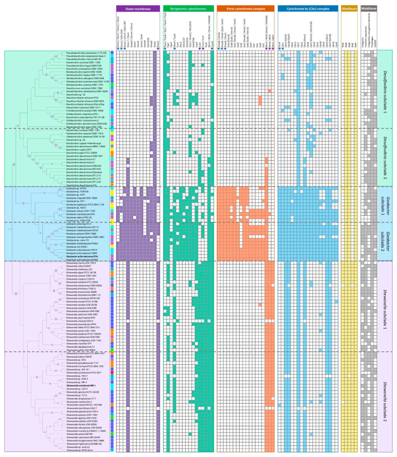 PMC11434368 – microorganisms-12-01796-f005